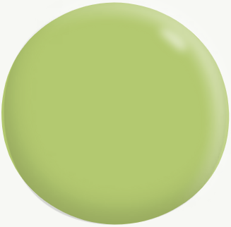 Exterior Low Sheen (Deep Base) GREENS 1.9L - Dulux colour: Young Leaf